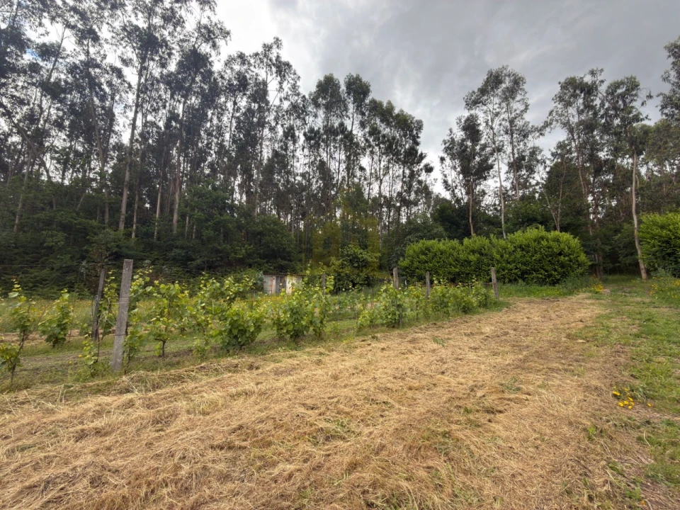Terreno para Venda em Taide Foto 1