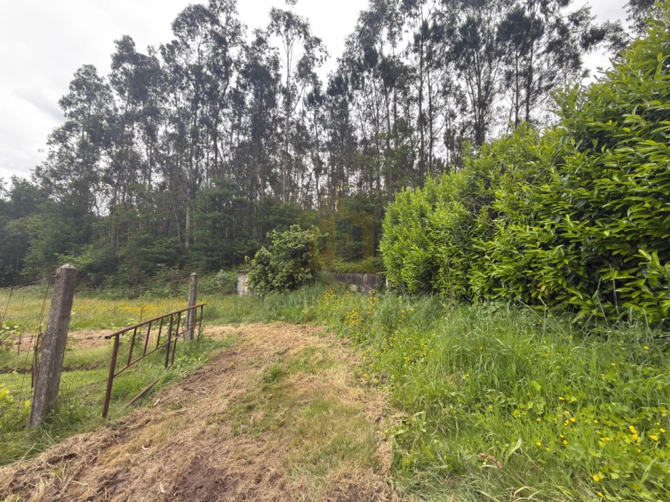 Terreno para Venda em Taide Foto 5