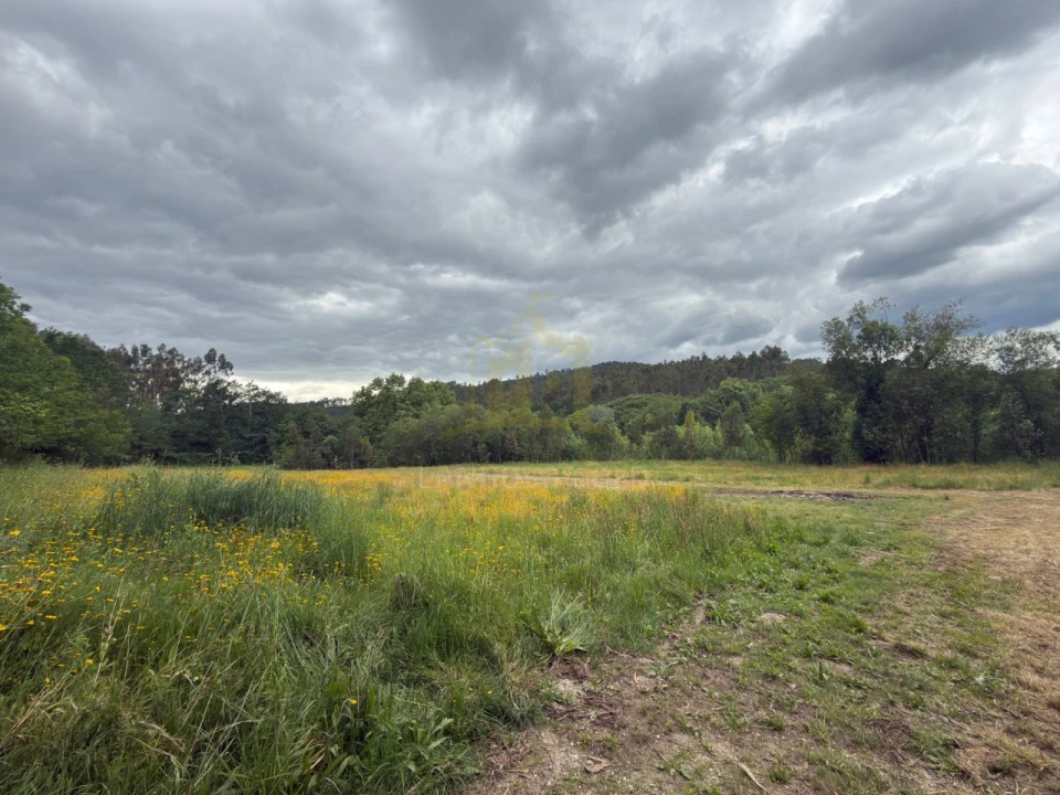 Terreno para Venda em Taide Foto 6