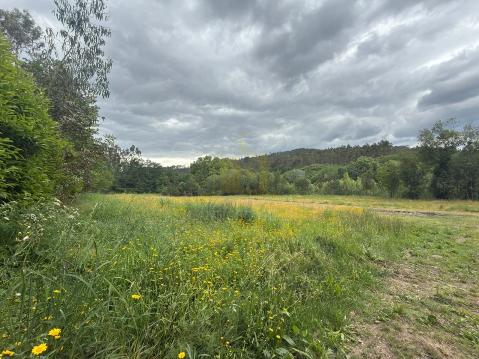 Terreno para Venda em Taide Foto 7