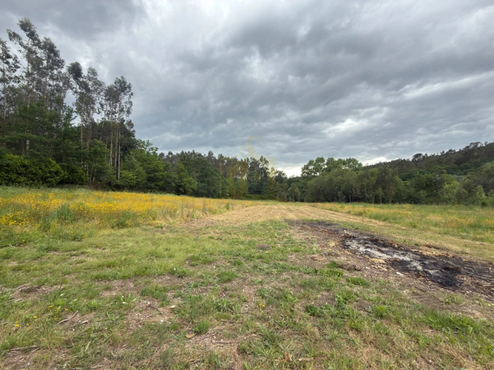 Terreno para Venda em Taide Foto 8