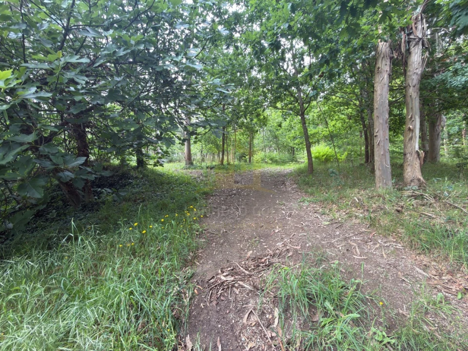Terreno para Venda em Taide Foto 11