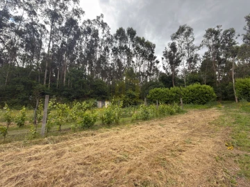 Terreno para Venda em Taide