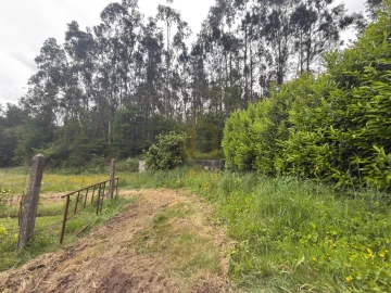 Terreno para Venda em Taide