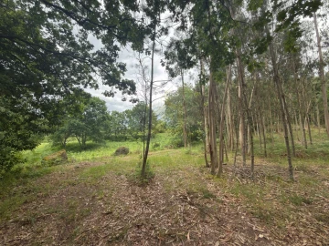 Terreno para Venda em Taide