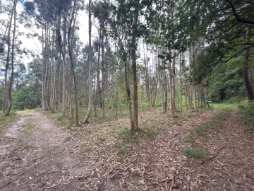 Terreno para Venda em Taide