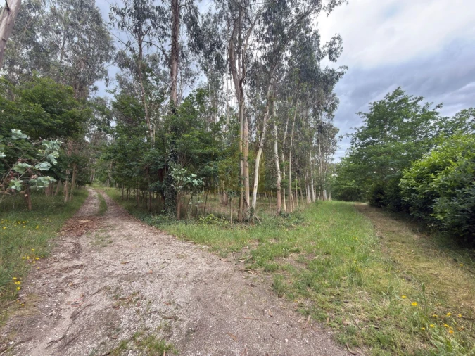 Terreno para Venda em Taide Foto 9