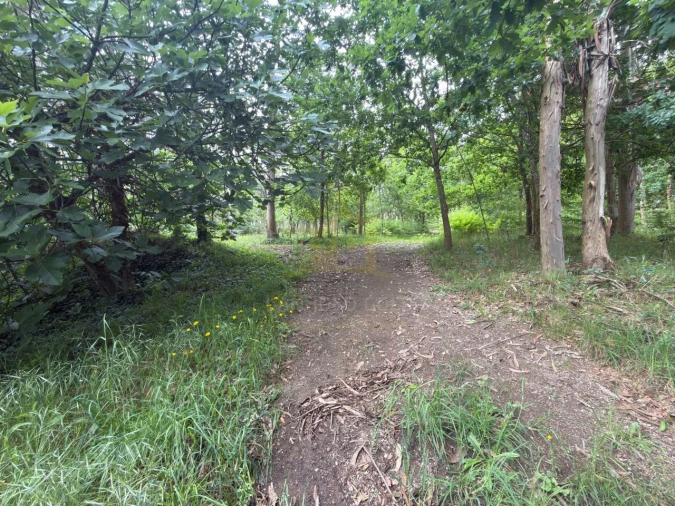 Terreno para Venda em Taide Foto 11