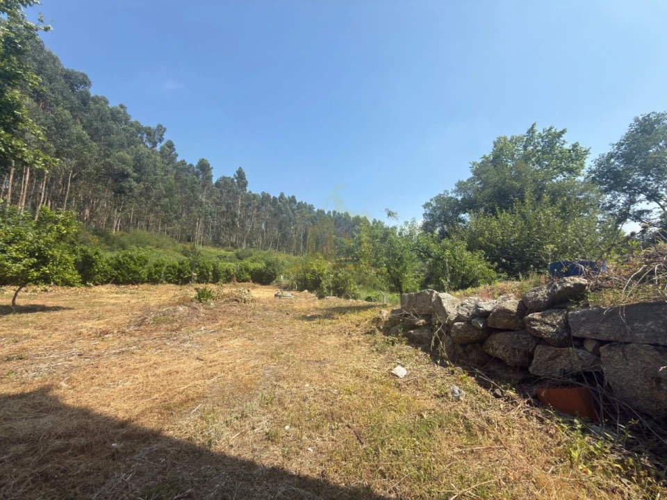 Armazém para Venda em Calvos e Frades Foto 15