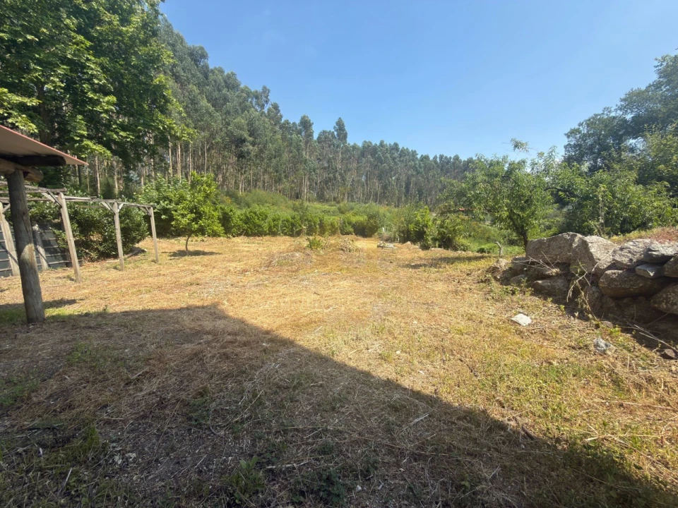 Armazém para Venda em Calvos e Frades Foto 16