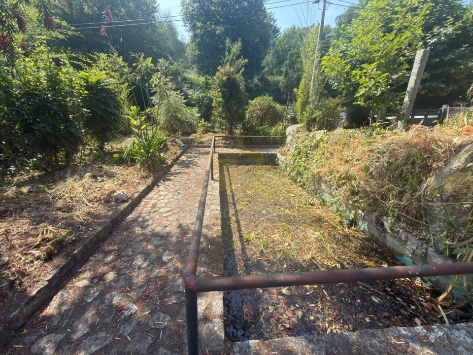 Armazém para Venda em Calvos e Frades Foto 21