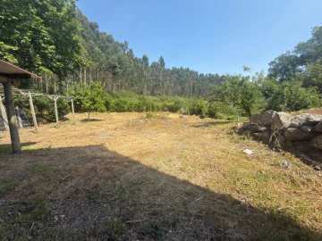Armazém para Venda em Calvos e Frades