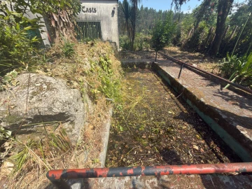Armazém para Venda em Calvos e Frades