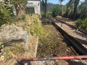 Armazém para Venda em Calvos e Frades