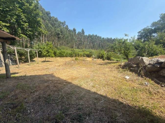 Armazém para Venda em Calvos e Frades Foto 16