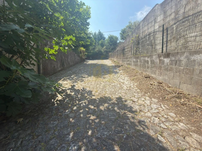 Armazém para Venda em Calvos e Frades Foto 18