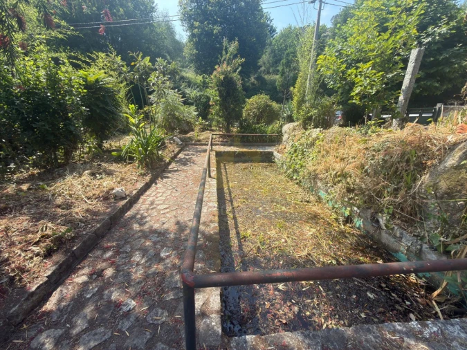 Armazém para Venda em Calvos e Frades Foto 21