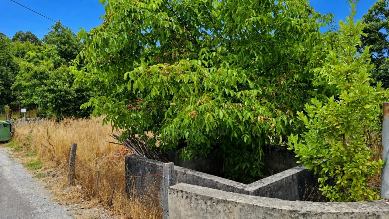 Terreno para Venda em Sabariz Foto 4