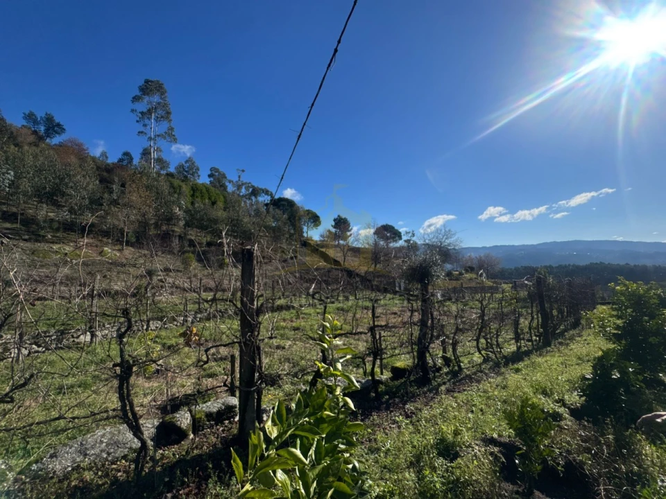 Terreno para Venda em Travassos Foto 1
