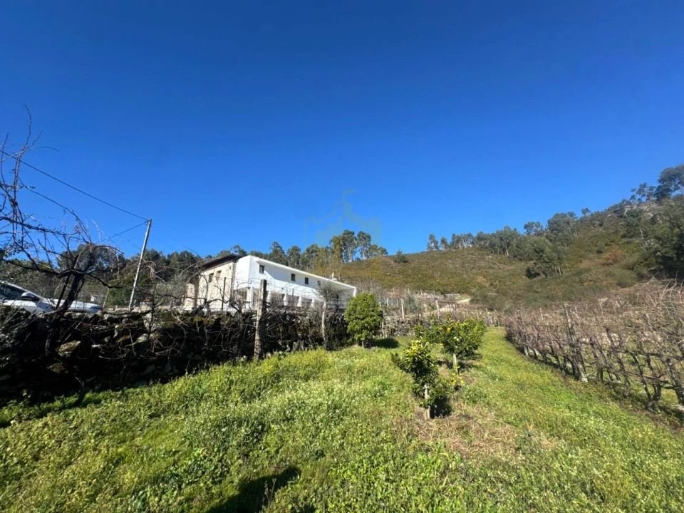 Terreno para Venda em Travassos Foto 4