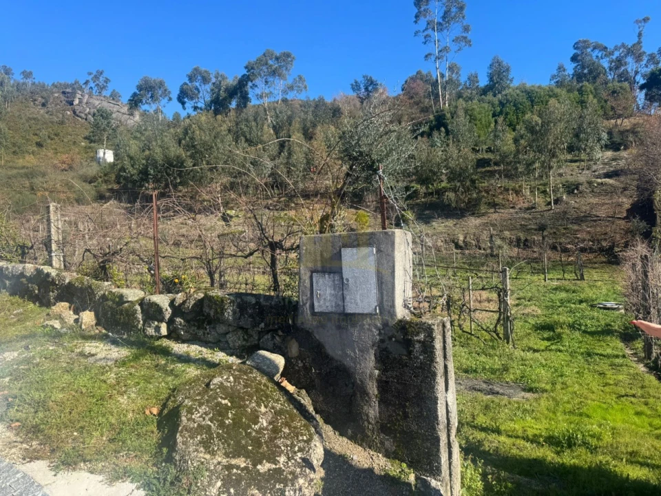 Terreno para Venda em Travassos Foto 7