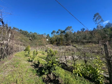 Terreno para Venda em Travassos