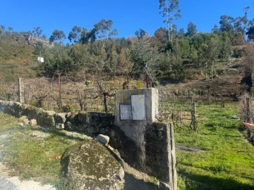 Terreno para Venda em Travassos