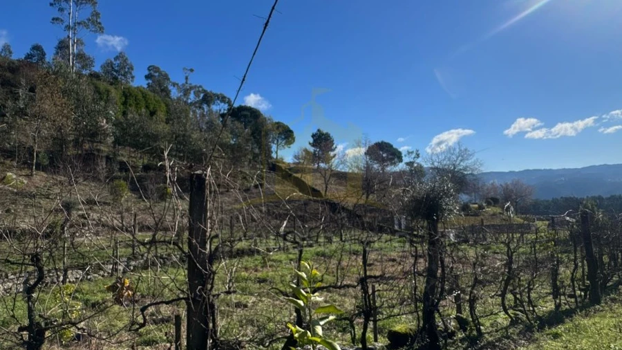 Terreno para Venda em Travassos