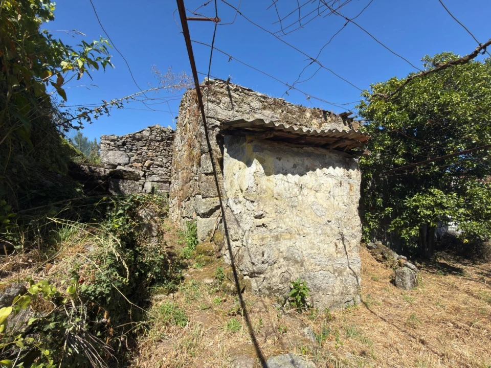 Terreno para Venda em Vilela Foto 4