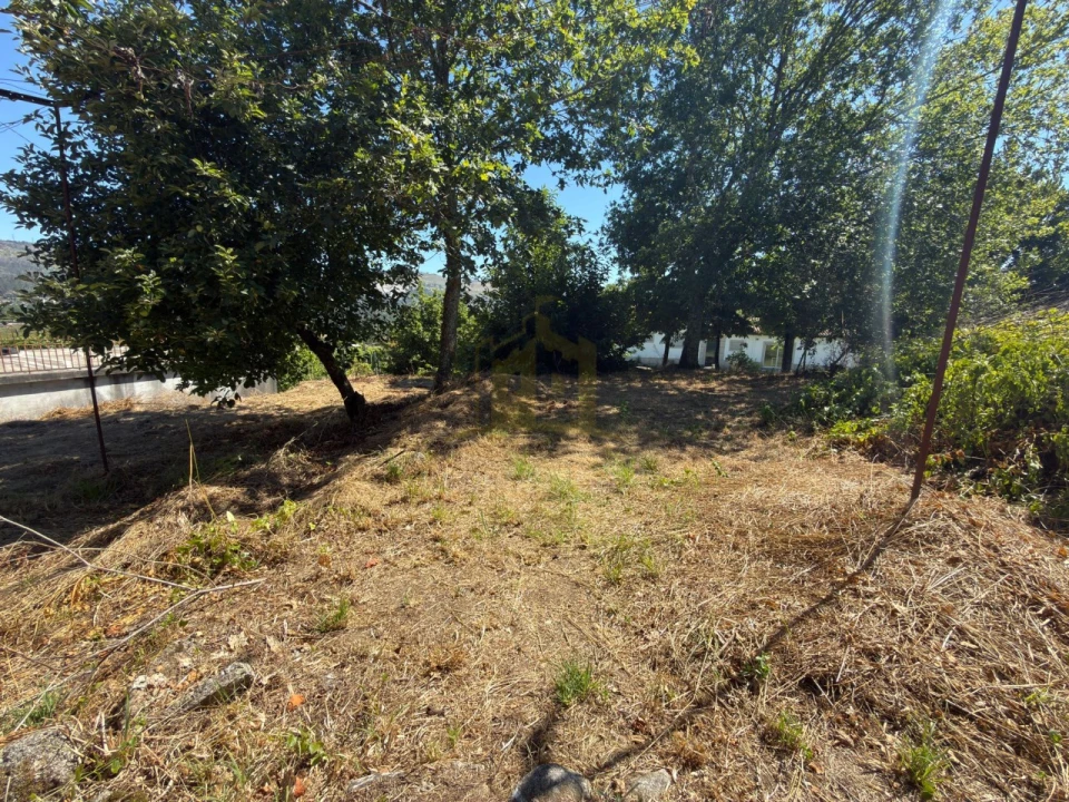 Terreno para Venda em Vilela Foto 10