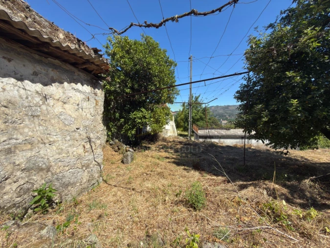 Terreno para Venda em Vilela Foto 2
