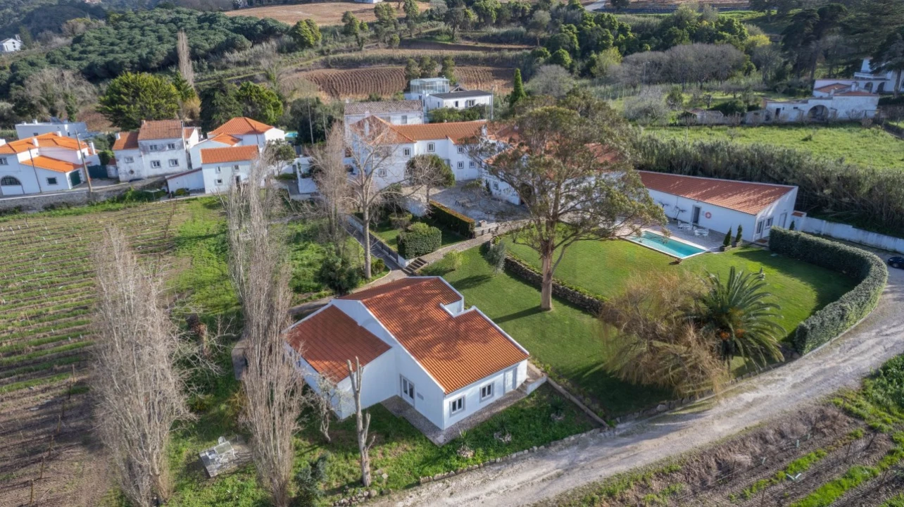 Quinta T14 para Venda em Colares Foto 1