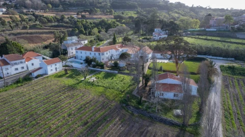 Quinta T14 para Venda em Colares