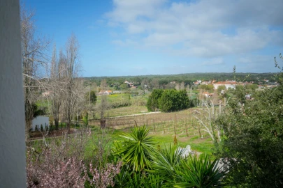 Quinta T14 para Venda em Colares