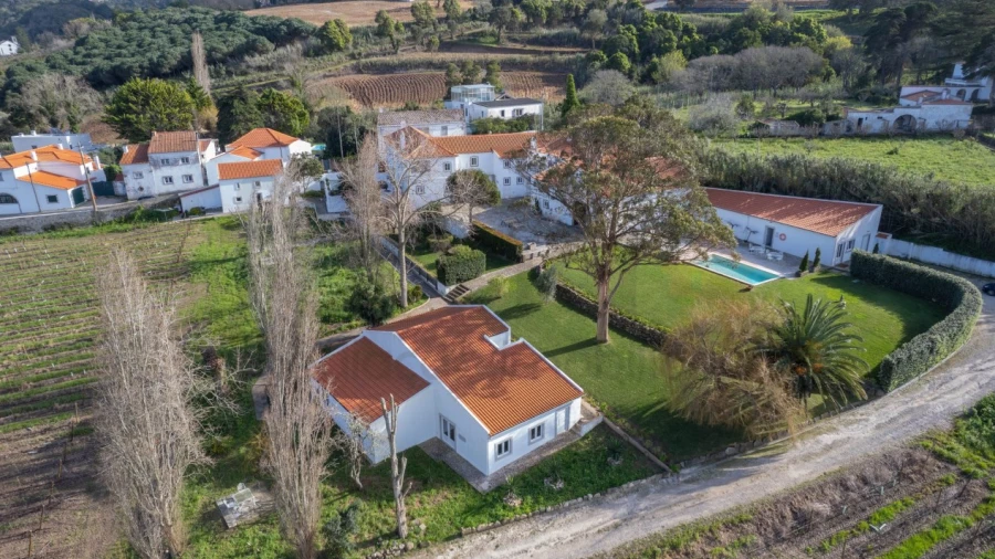Quinta T14 para Venda em Colares