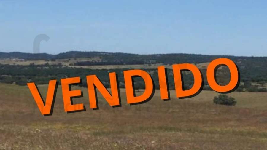 Terreno para Venda em São Cristovão
