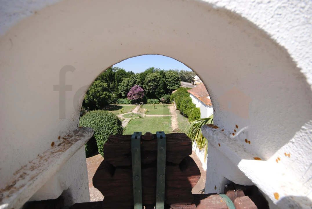 Negócio para Venda em São Bras e São Lourenço Foto 11