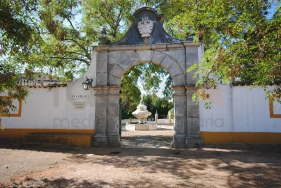 Negócio para Venda em São Bras e São Lourenço