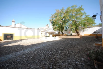 Negócio para Venda em São Bras e São Lourenço