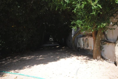 Negócio para Venda em São Bras e São Lourenço