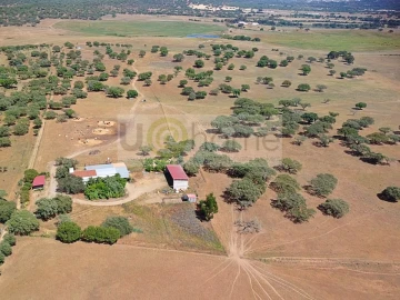 Terreno para Venda em Santiago do Escoural
