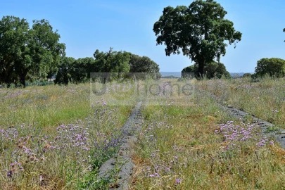 Terreno para Venda em Santiago do Escoural