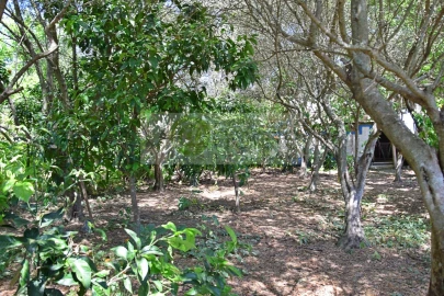 Terreno para Venda em Santiago do Escoural
