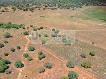 Terreno para Venda em Santiago do Escoural