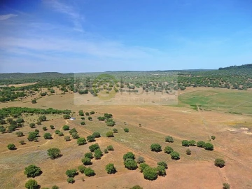 Terreno para Venda em Santiago do Escoural