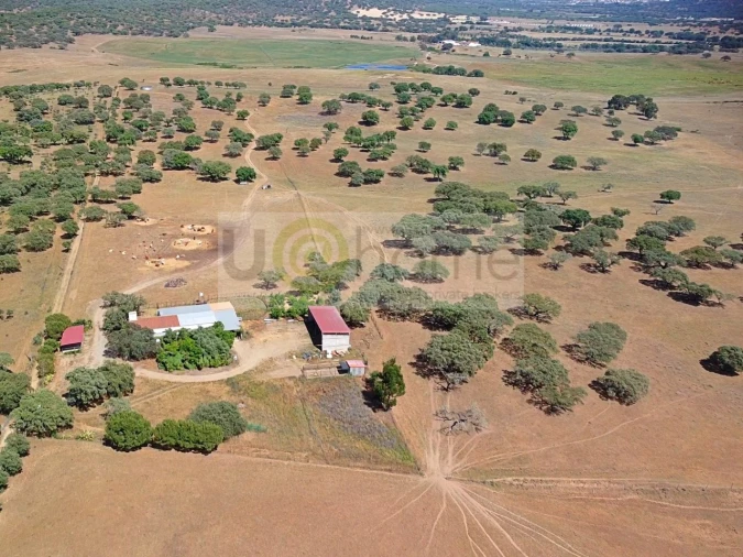 Terreno para Venda em Santiago do Escoural Foto 3