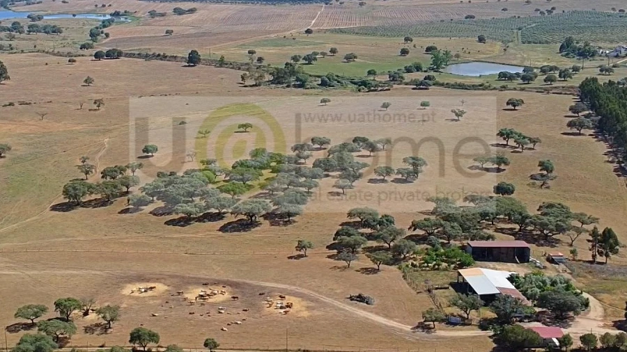 Terreno para Venda em Santiago do Escoural