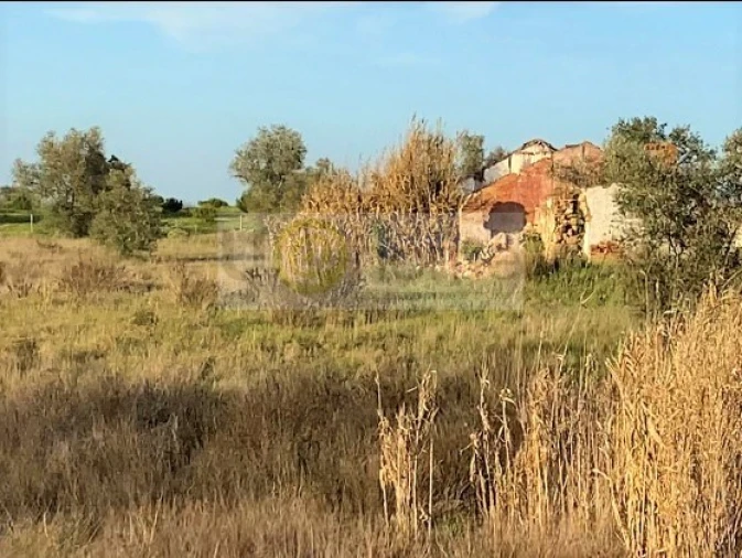 Quinta T2 para Venda em Nossa Senhora da Vila, Nossa Senhora do Bispo e Silveiras Foto 4