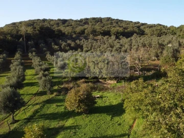 Quinta T2 para Venda em Santiago do Escoural