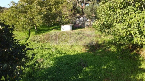 Quinta T2 para Venda em Santiago do Escoural